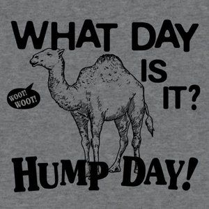 Unisex NWOT Gildan  What day is it? Hump Day Ultra Cotton Graphic Tee T-shirt